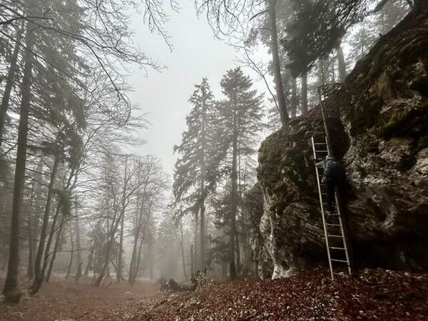 South Ridge - Balmflue