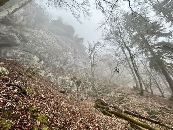 South Ridge - Balmflue