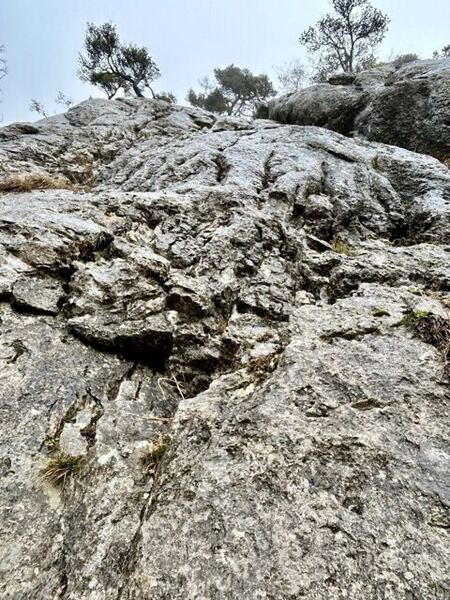 South Ridge - Balmflue