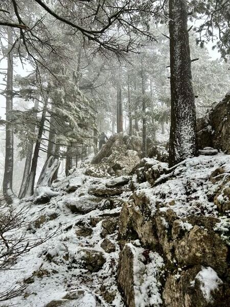 South Ridge - Balmflue