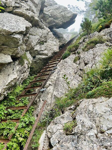 Rohrboden + Gätterlipass - Rigi Hochflue