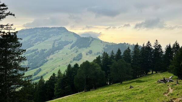 Rohrboden + Gätterlipass - Rigi Hochflue