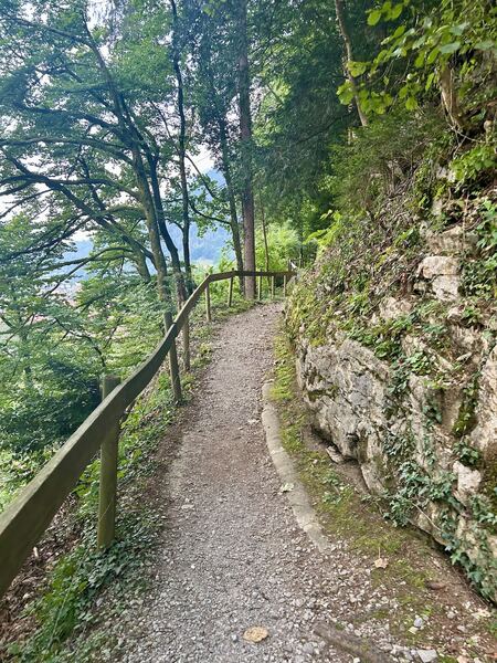 Highflyer - Wilderswil