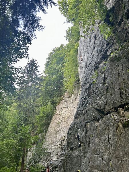 Highflyer - Wilderswil