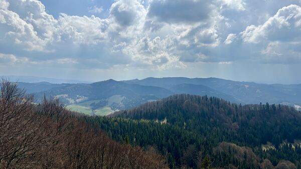 Wysoka