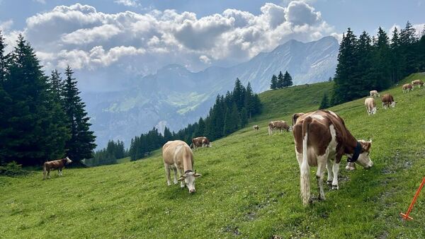Oeschinensee