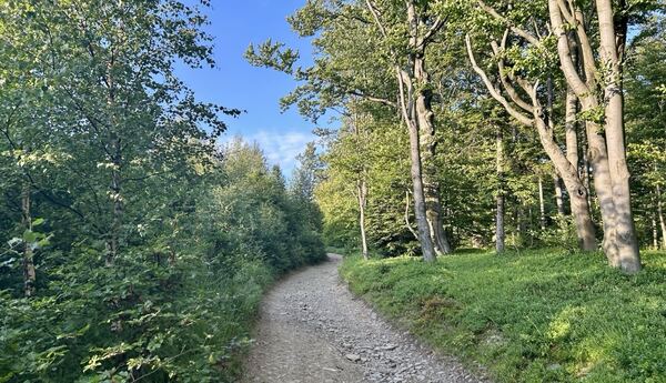 Leskowiec - Beskid Mały
