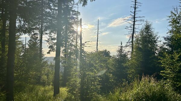 Leskowiec - Beskid Mały