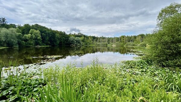 Müggelberge – Berlin