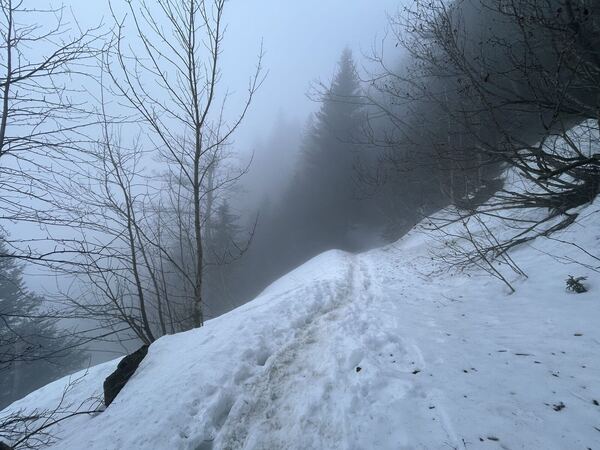 Rigi Kulm - Arschbäggen winter ascent
