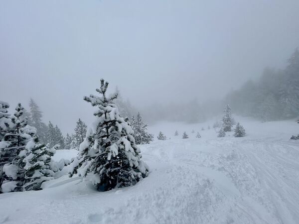 Rickhübel - Glaubenberg