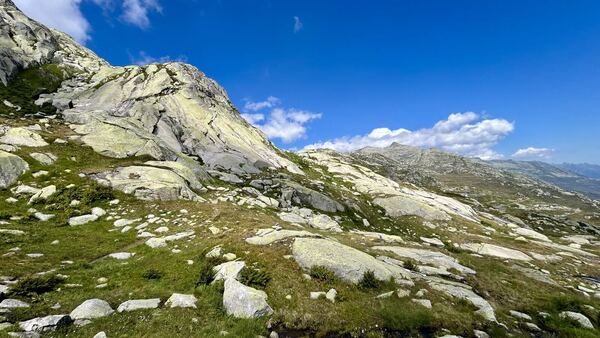 Placca delle Marmotte – Gotthard Pass