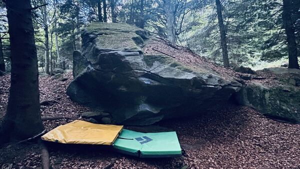 Blattiswald – project session