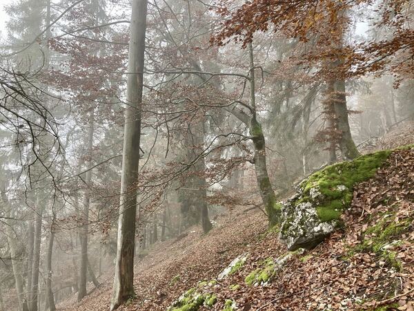 Südgrat - Balmflue