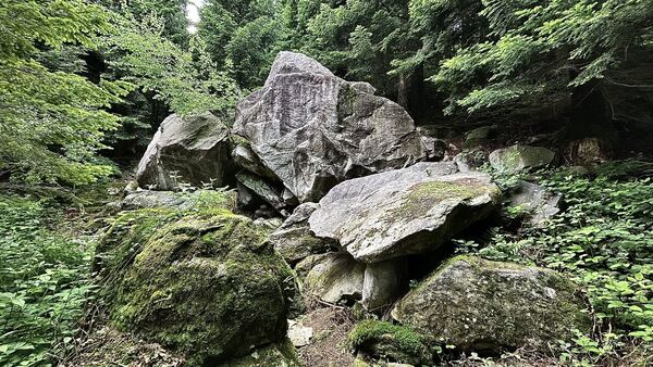 Blattiswald - After-Work Bouldering