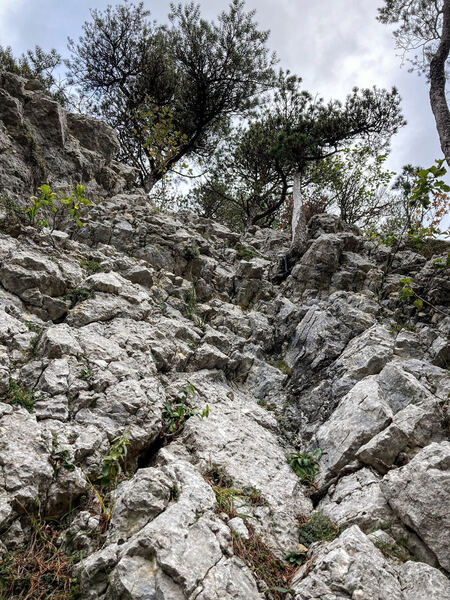 West Ridge - Bubichopf