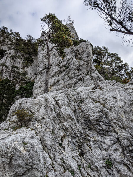 West Ridge - Bubichopf