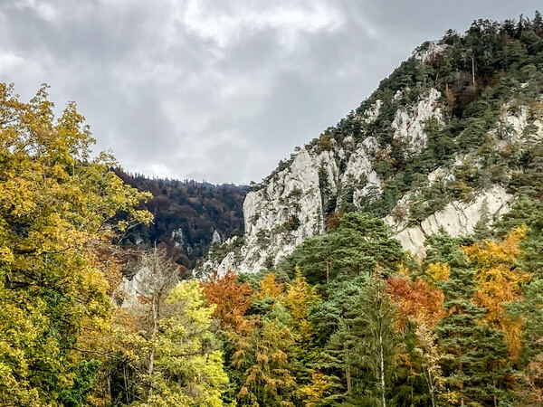 West Ridge - Bubichopf