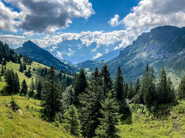Chöpfenberg - South Ridge