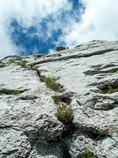 Chöpfenberg - South Ridge