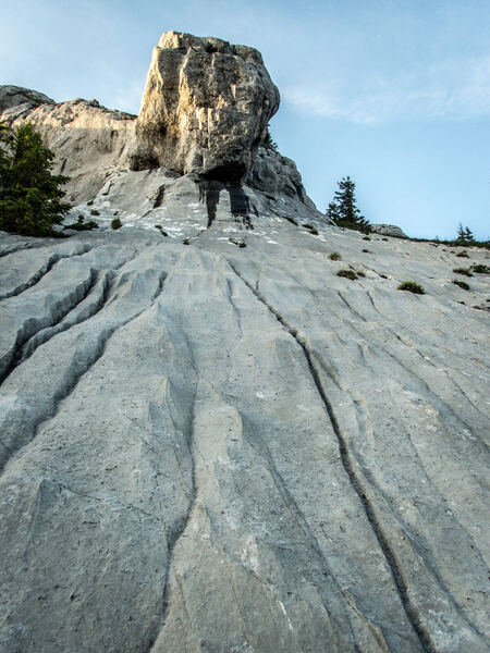 Chöpfenberg - South Ridge