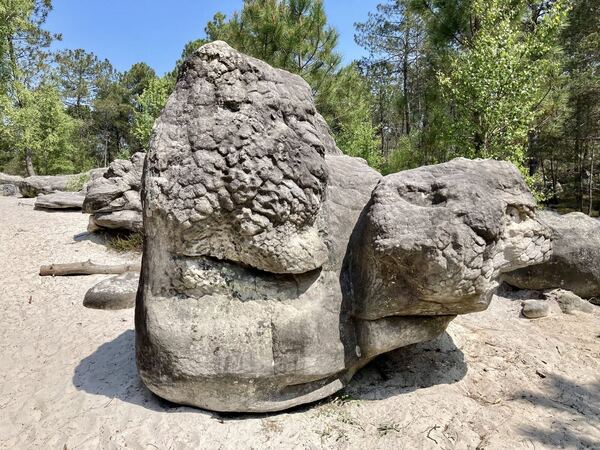 Fontainebleau