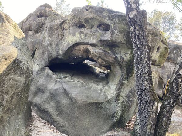 Fontainebleau