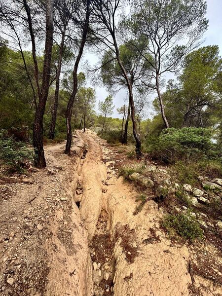GR-221, Serra de Tramuntana