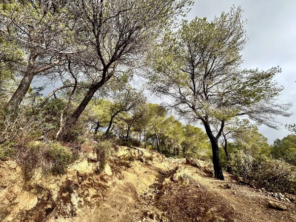 GR-221, Serra de Tramuntana