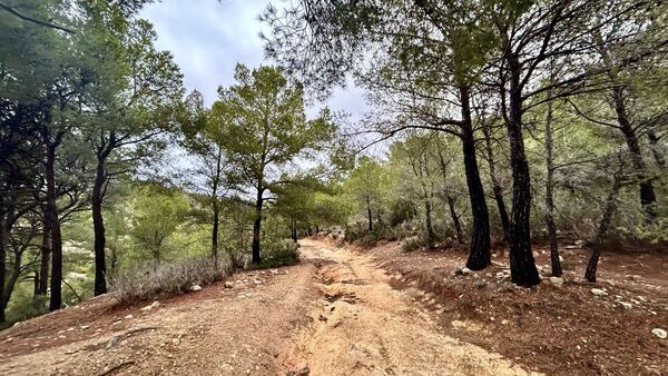 GR-221, Serra de Tramuntana