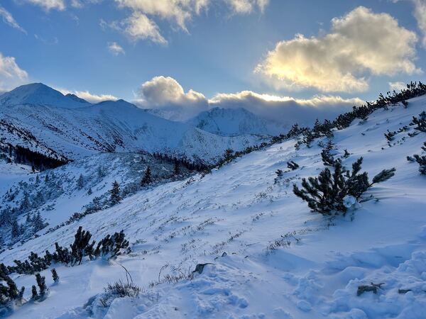 Grześ - winter from the Chochołowska valley