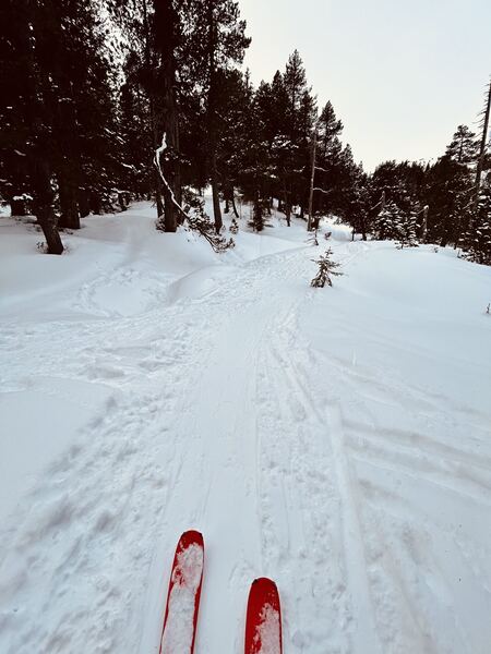 Rickhübel - Skitour from Langis