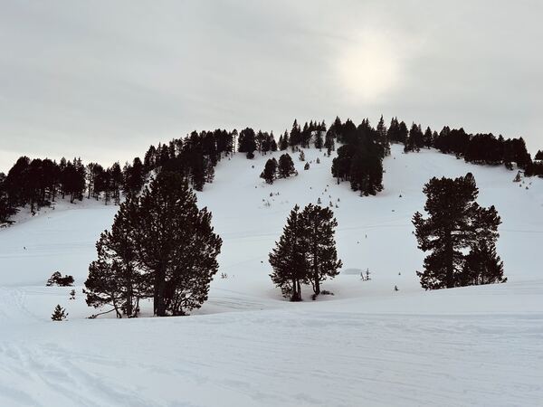 Rickhübel - Skitour from Langis