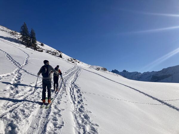 Salistock - Nidwalden