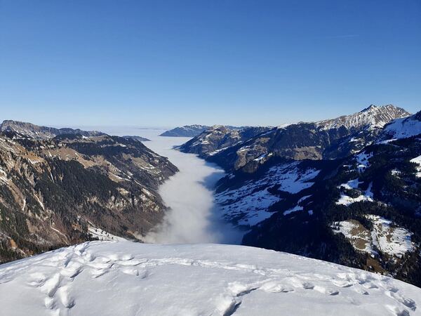Salistock - Nidwalden