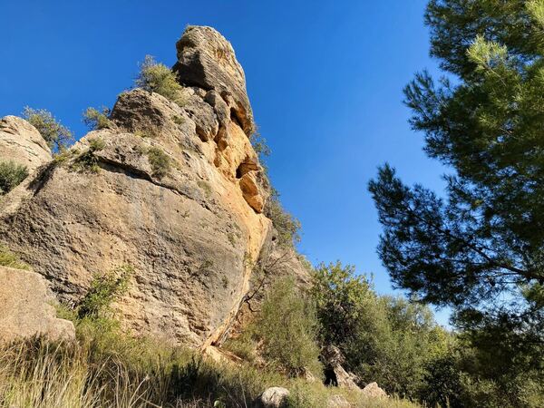 Tormo Gros, La Mola de Montesa