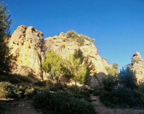Tormo Gros, La Mola de Montesa